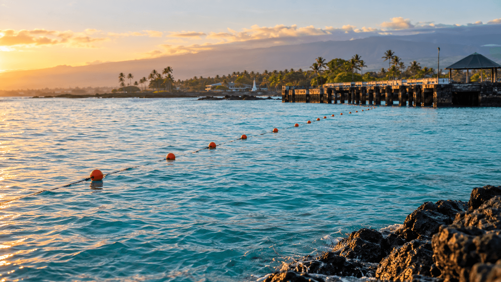 Ho'ala Swim 2026: Riddle wins men’s race as Taylor-Brown edges Berry